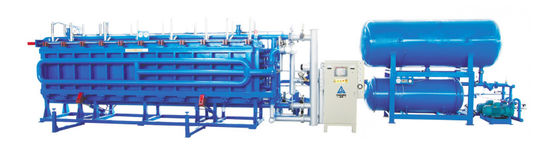 魚野菜ボックスのためのプロ EPSブロック鋳造機