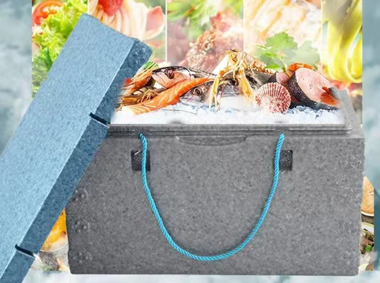 シーフードおよび新鮮な果物のための魚箱EPP EPS型6063のアルミ合金